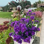 Parenthese Fleurie Guest house